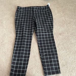 Old Navy High Rise Pixie Pants NWT Sz 14P